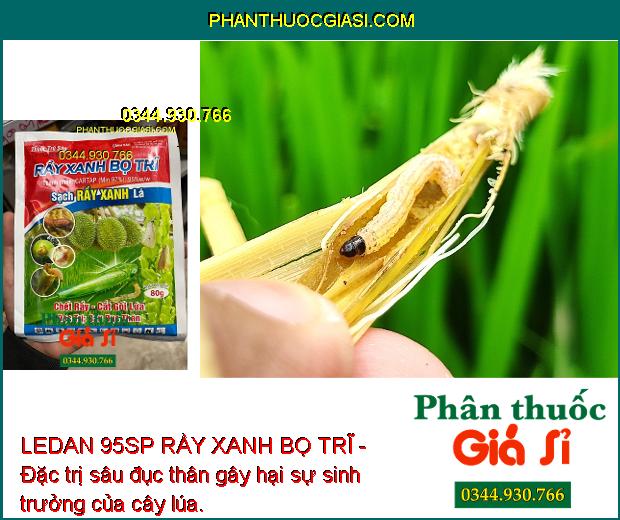 LEDAN 95SP RẦY XANH BỌ TRĨ - Đặc Trị sâu Đục Thân - Sâu Rầy Kháng Thuốc