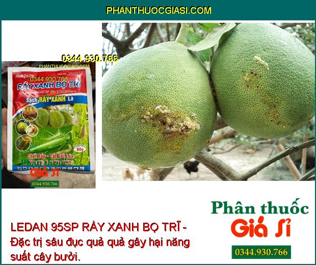 LEDAN 95SP RẦY XANH BỌ TRĨ - Đặc Trị sâu Đục Thân - Sâu Rầy Kháng Thuốc