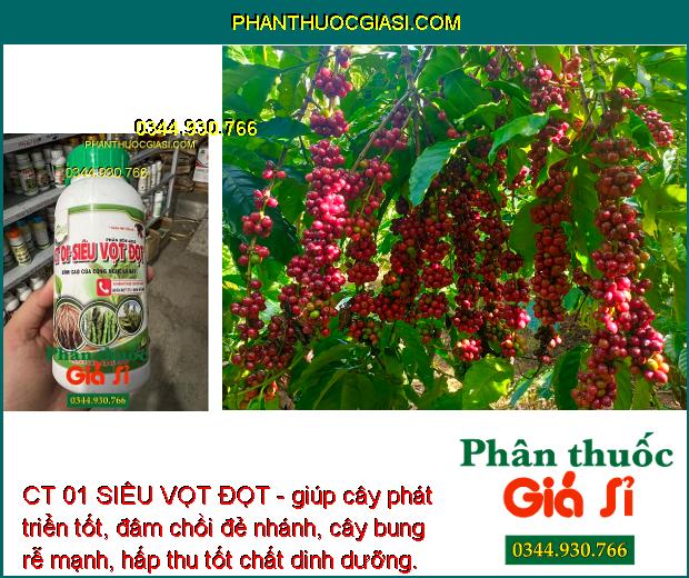 CT 01 SIÊU VỌT ĐỌT - Siêu Đâm Chồi - Đẻ Nhánh - Kích Thích Cây Con Phát Triển Mạnh