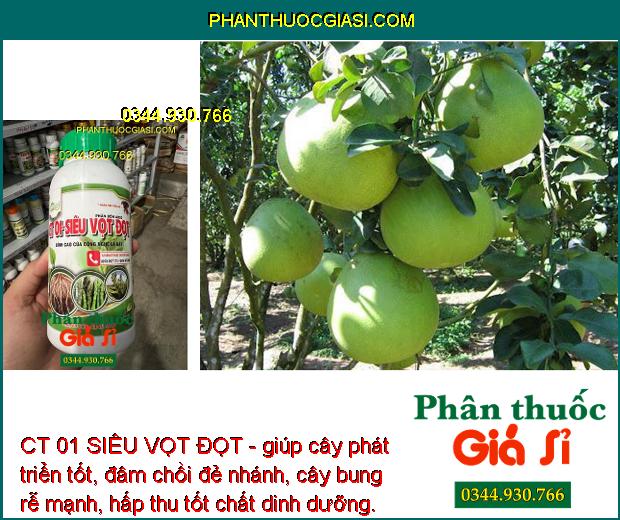 CT 01 SIÊU VỌT ĐỌT - Siêu Đâm Chồi - Đẻ Nhánh - Kích Thích Cây Con Phát Triển Mạnh