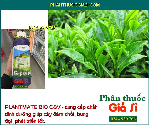 PLANTMATE BIO CSV - Đâm Chồi- Bung Đọt- Ra Hoa Đồng Loạt- Nuôi Quả.