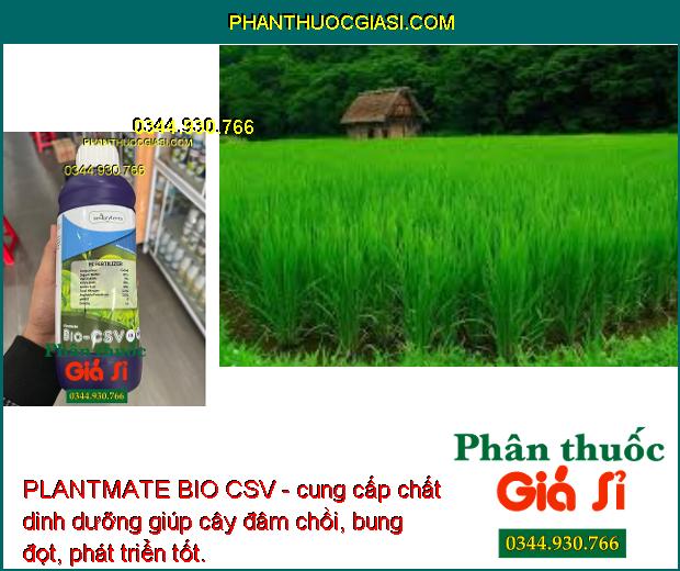 PLANTMATE BIO CSV - Đâm Chồi- Bung Đọt- Ra Hoa Đồng Loạt- Nuôi Quả.