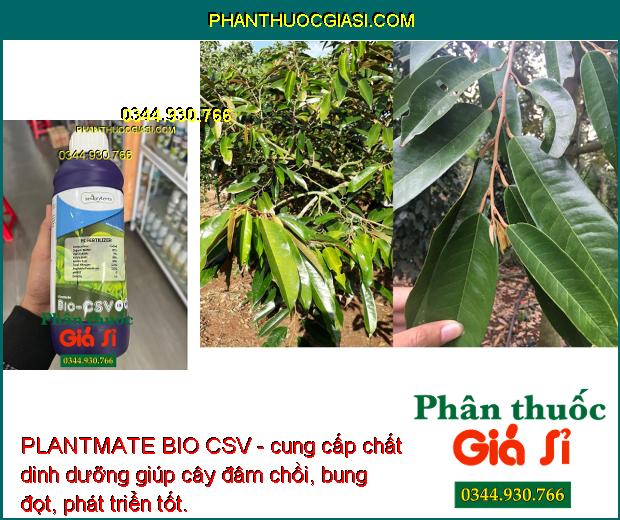 PLANTMATE BIO CSV - Đâm Chồi- Bung Đọt- Ra Hoa Đồng Loạt- Nuôi Quả.