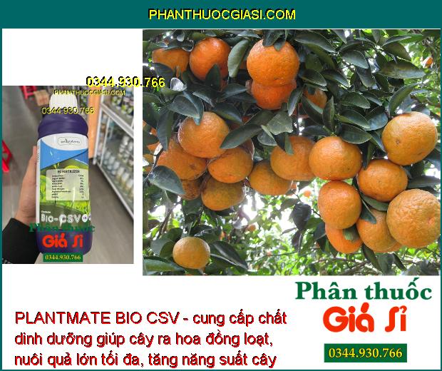 PLANTMATE BIO CSV - Đâm Chồi- Bung Đọt- Ra Hoa Đồng Loạt- Nuôi Quả.