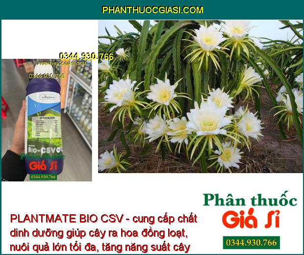 PLANTMATE BIO CSV - Đâm Chồi- Bung Đọt- Ra Hoa Đồng Loạt- Nuôi Quả.