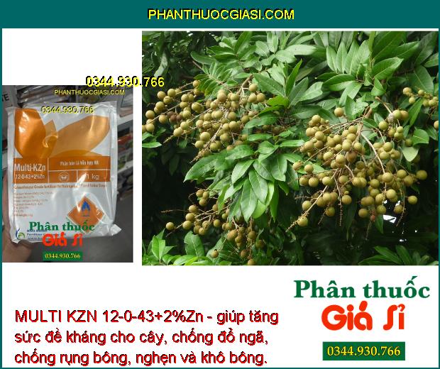 MULTI KZN 12-0-43+2%Zn -Trái Nhanh Lớn - Ra Hoa Đồng Loạt - Trái Lớn Nhanh - Tăng Độ Ngọt -Tăng Đề Kháng