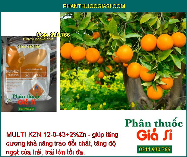 MULTI KZN 12-0-43+2%Zn -Trái Nhanh Lớn - Ra Hoa Đồng Loạt - Trái Lớn Nhanh - Tăng Độ Ngọt -Tăng Đề Kháng