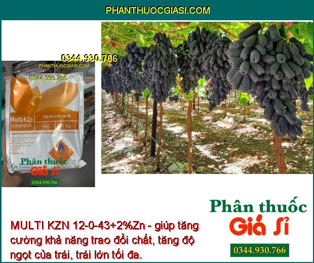 MULTI KZN 12-0-43+2%Zn -Trái Nhanh Lớn - Ra Hoa Đồng Loạt - Trái Lớn Nhanh - Tăng Độ Ngọt -Tăng Đề Kháng