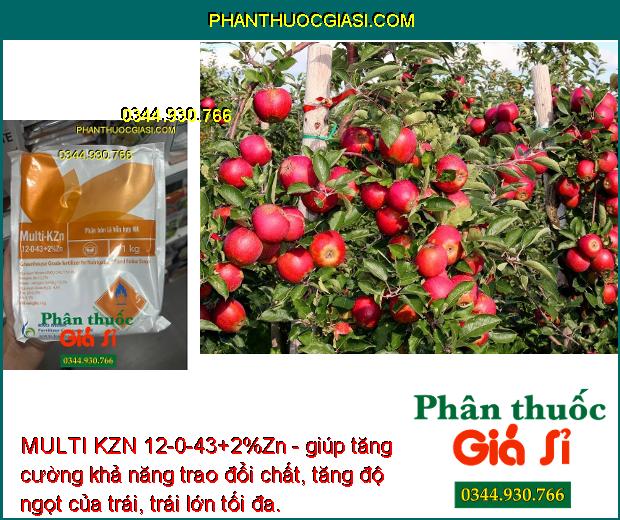 MULTI KZN 12-0-43+2%Zn -Trái Nhanh Lớn - Ra Hoa Đồng Loạt - Trái Lớn Nhanh - Tăng Độ Ngọt -Tăng Đề Kháng