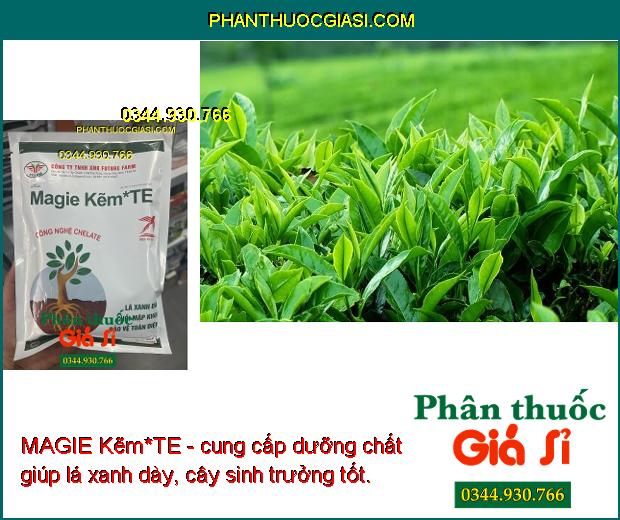 MAGIE Kẽm*TE - Thúc Cây Cứng Cáp - Lá Xanh Dày - Chồi Mập Khỏe - Tăng Sức Đề Kháng