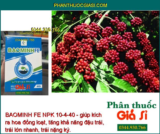 BAOMINH FE NPK 10-4-40 - giúp kích ra hoa đồng loạt, tăng khả năng đậu trái, trái lớn nhanh, trái nặng ký.