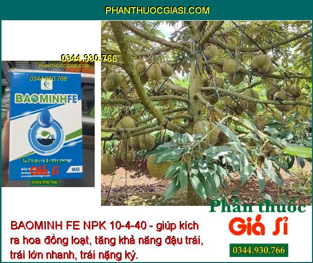 BAOMINH FE NPK 10-4-40 - giúp kích ra hoa đồng loạt, tăng khả năng đậu trái, trái lớn nhanh, trái nặng ký.