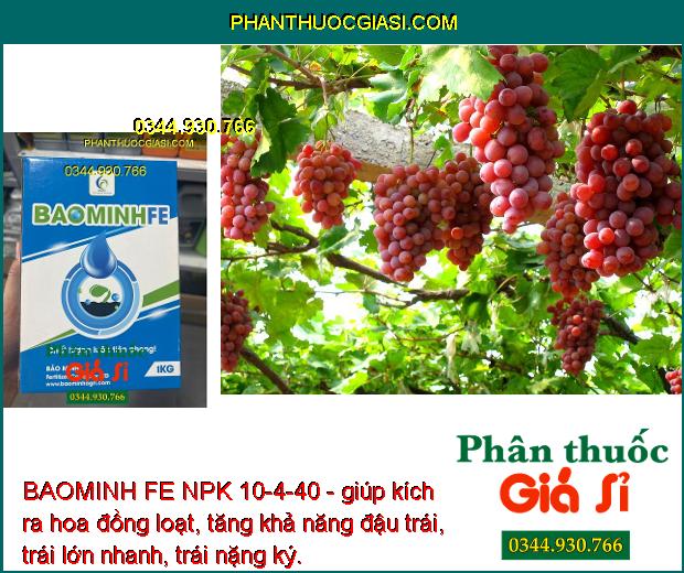 BAOMINH FE NPK 10-4-40 - giúp kích ra hoa đồng loạt, tăng khả năng đậu trái, trái lớn nhanh, trái nặng ký.