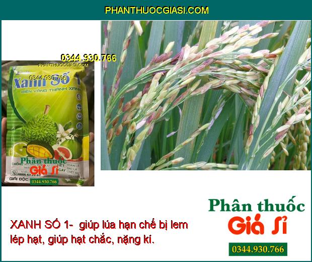 XANH SỐ 1- CHỐNG RỤNG HOA - TRÁI NON - GIÚP CÂY XANH LÁ - NÂNG CAO CHẤT LƯỢNG SẢN PHẨM