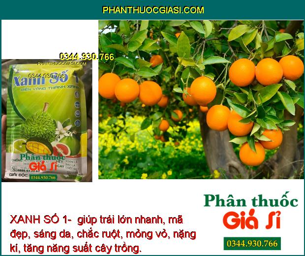 XANH SỐ 1- CHỐNG RỤNG HOA - TRÁI NON - GIÚP CÂY XANH LÁ - NÂNG CAO CHẤT LƯỢNG SẢN PHẨM