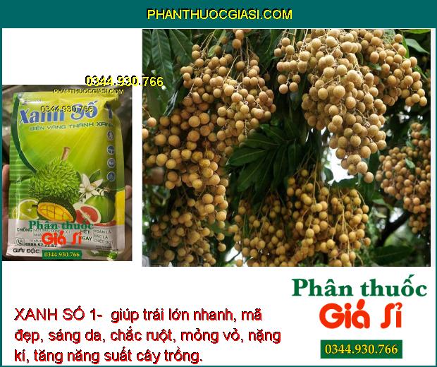 XANH SỐ 1- CHỐNG RỤNG HOA - TRÁI NON - GIÚP CÂY XANH LÁ - NÂNG CAO CHẤT LƯỢNG SẢN PHẨM