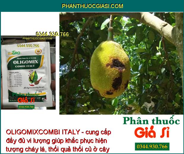 OLIGOMIXCOMBI ITALY- Bổ Sung Vi Lượng Chống Vàng Lá - Hoa Trổ Đồng Loạt - Tăng Đậu Trái