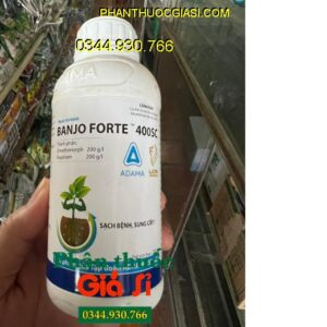 BANJO FORTE 400SC- Phòng Trừ Bệnh Do Nấm Gây Hại Cây Trồng