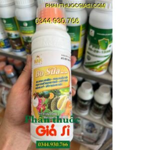 BO SỮA ONG CHÚA - Ra Hoa Nhiều - Thụ Phấn Tốt - Hạn Chế Rụng Trái - Nứt Trái - Trái To