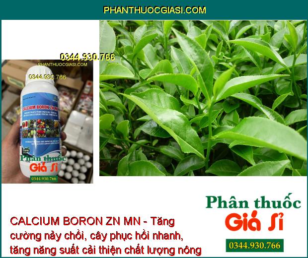 CALCIUM BORON ZN MN - Rễ Phát Triển Mạnh - Nảy Chồi - Tăng Năng Suất