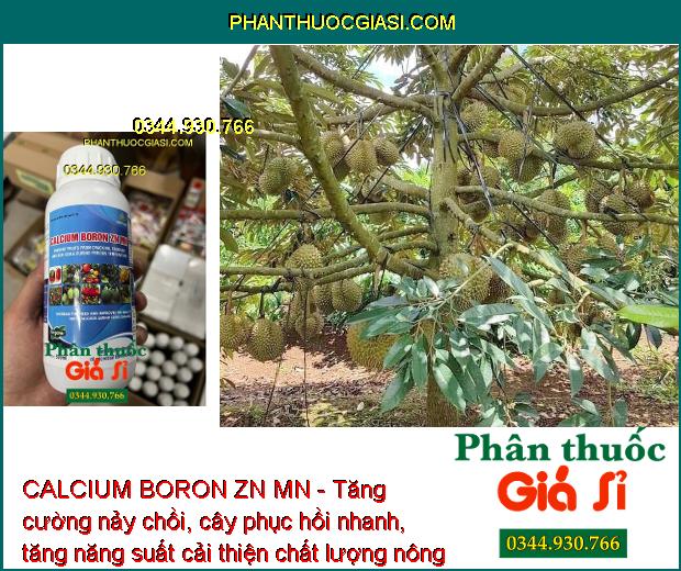 CALCIUM BORON ZN MN - Rễ Phát Triển Mạnh - Nảy Chồi - Tăng Năng Suất