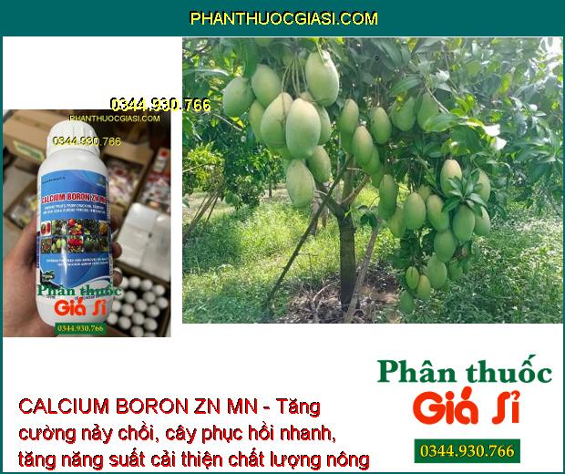 CALCIUM BORON ZN MN - Rễ Phát Triển Mạnh - Nảy Chồi - Tăng Năng Suất