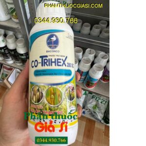 CO-TRIHEX 280SC - Đặc Trị Nấm Bệnh - Thán Thư - Đạo Ôn - Héo Xanh