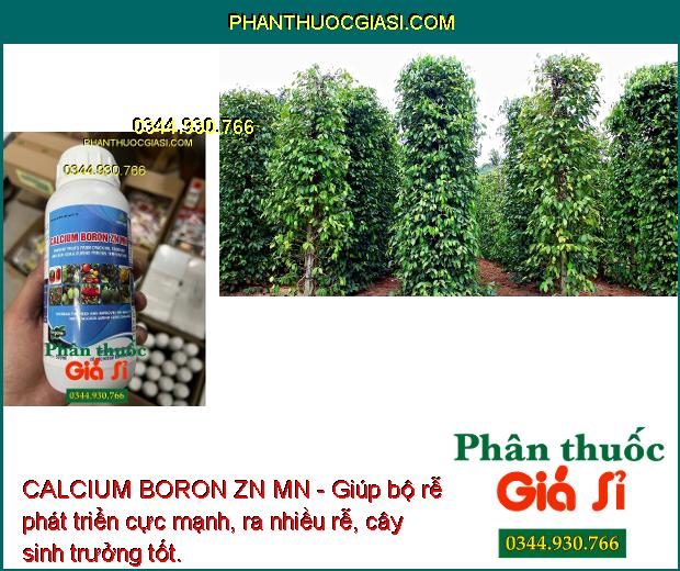 CALCIUM BORON ZN MN - Rễ Phát Triển Mạnh - Nảy Chồi - Tăng Năng Suất