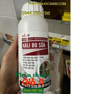 KALI BO SỮA - Hạn Chế Rụng Bông - Rụng Trái Non - Dày Cơm - Ngọt Trái - Lá To Dày