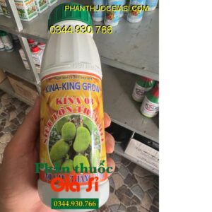 KINA 03 KINA KING GROW - Lớn Trái - Chắc Hạt - Dày Cơm - Màu Vàng Đẹp