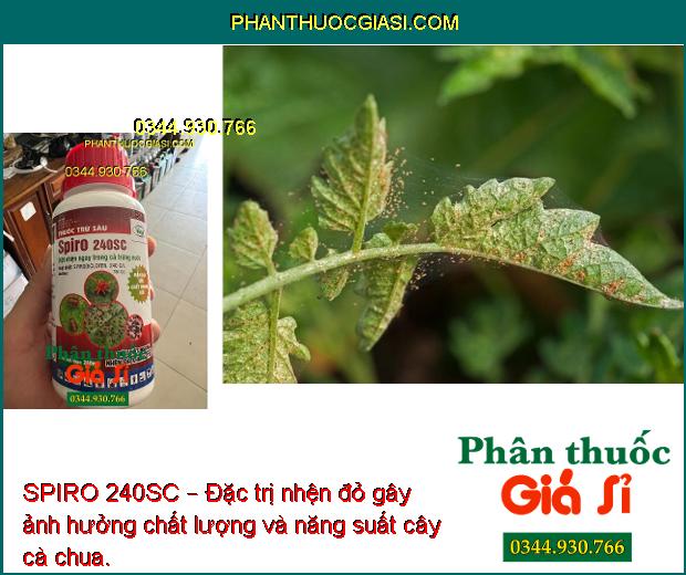 SPIRO 240SC – Đặc Trị Nhện Đỏ- Nhện Vàng- Nhện Xanh- Nhện Kháng Thuốc