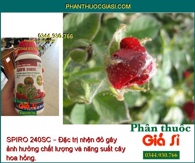 SPIRO 240SC – Đặc Trị Nhện Đỏ- Nhện Vàng- Nhện Xanh- Nhện Kháng Thuốc