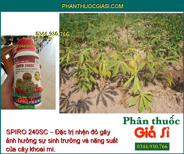 SPIRO 240SC – Đặc Trị Nhện Đỏ- Nhện Vàng- Nhện Xanh- Nhện Kháng Thuốc