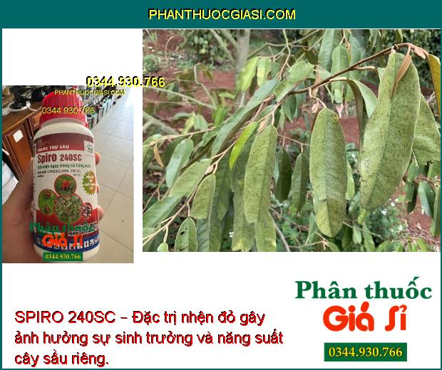 SPIRO 240SC – Đặc Trị Nhện Đỏ- Nhện Vàng- Nhện Xanh- Nhện Kháng Thuốc