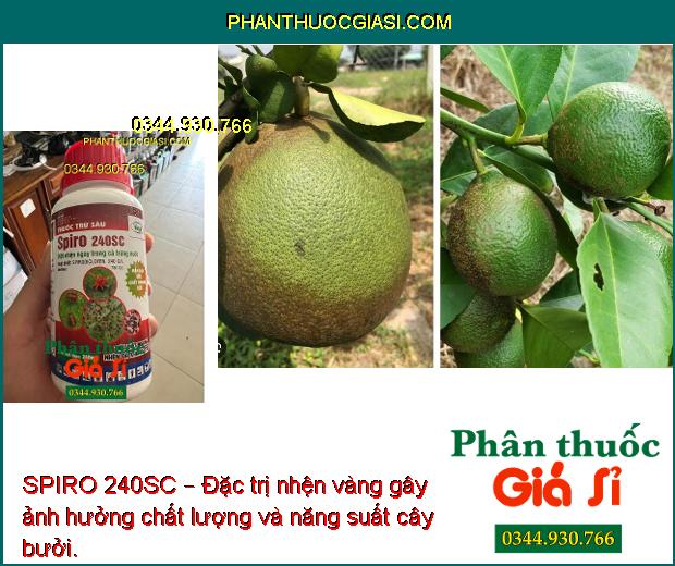 SPIRO 240SC – Đặc Trị Nhện Đỏ- Nhện Vàng- Nhện Xanh- Nhện Kháng Thuốc