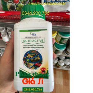 NUTRIACTIVE - Tăng Đề Kháng - Khỏe Cây - Tăng Năng Suất