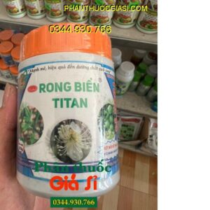 RONG BIỂN TITAN - Mát Bông- Mát Trái - Trái Lớn Nhanh - Kéo Đọt Nhanh- Ra Rễ