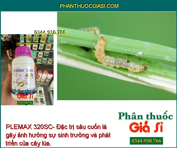 PLEMAX 320SC- Đặc Trị Sâu Cuốn Lá - Sâu Tơ - Sâu Xanh Da Láng - Sâu Keo