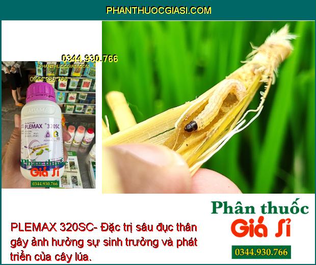 PLEMAX 320SC- Đặc Trị Sâu Cuốn Lá - Sâu Tơ - Sâu Xanh Da Láng - Sâu Keo