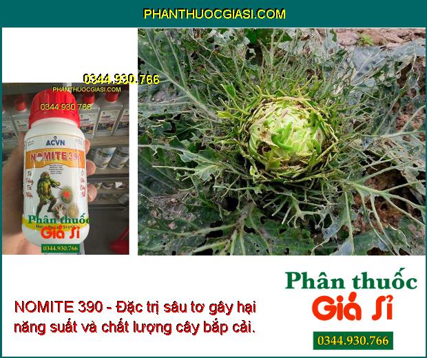 NOMITE 390 - Đặc trị côn trùng gây hại, giúp cây trồng sinh trưởng tốt, năng suất cao.