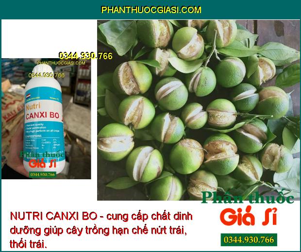 NUTRI CANXI BO- Chống Nứt Trái- Mập Đọt- Cứng Cây- Chống Rụng Trái Non