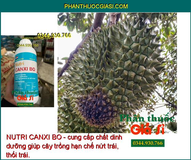 NUTRI CANXI BO- Chống Nứt Trái- Mập Đọt- Cứng Cây- Chống Rụng Trái Non