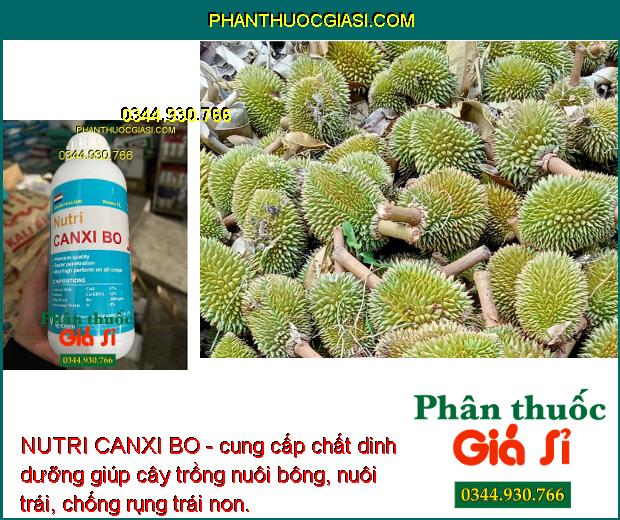 NUTRI CANXI BO- Chống Nứt Trái- Mập Đọt- Cứng Cây- Chống Rụng Trái Non