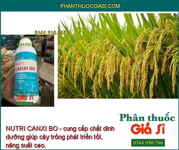 NUTRI CANXI BO- Chống Nứt Trái- Mập Đọt- Cứng Cây- Chống Rụng Trái Non