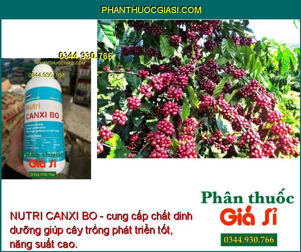 NUTRI CANXI BO- Chống Nứt Trái- Mập Đọt- Cứng Cây- Chống Rụng Trái Non