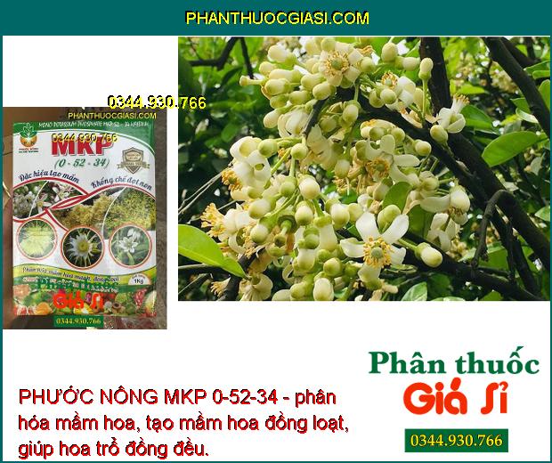 PHƯỚC NÔNG MKP 0-52-34 - Tạo Mầm Hoa - Kích Ra Hoa Nghịch Vụ - Lá Nhanh Già -Trổ Hoa Đồng Đều