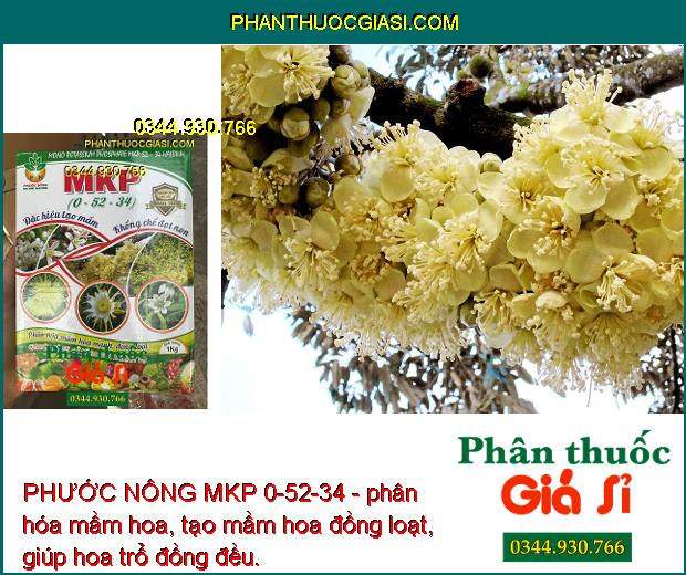 PHƯỚC NÔNG MKP 0-52-34 - Tạo Mầm Hoa - Kích Ra Hoa Nghịch Vụ - Lá Nhanh Già -Trổ Hoa Đồng Đều