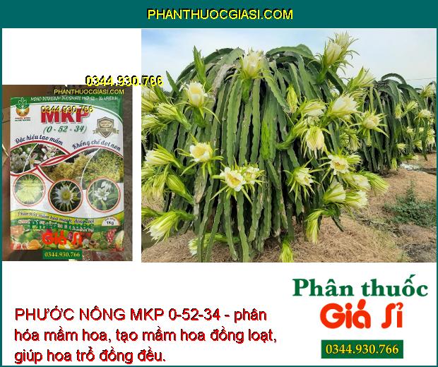 PHƯỚC NÔNG MKP 0-52-34 - Tạo Mầm Hoa - Kích Ra Hoa Nghịch Vụ - Lá Nhanh Già -Trổ Hoa Đồng Đều