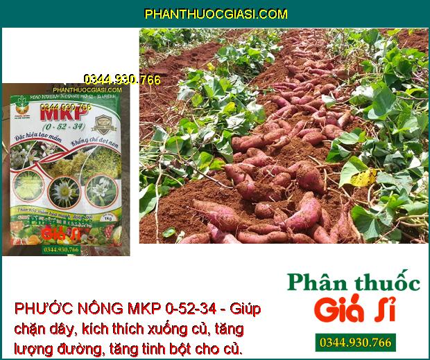 PHƯỚC NÔNG MKP 0-52-34 - Tạo Mầm Hoa - Kích Ra Hoa Nghịch Vụ - Lá Nhanh Già -Trổ Hoa Đồng Đều