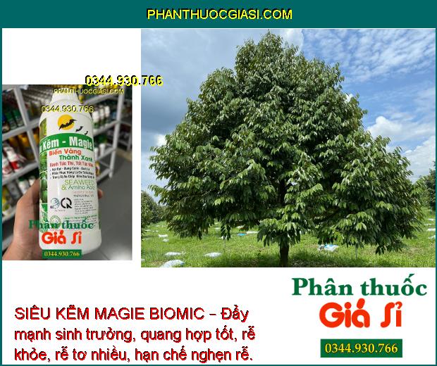 SIÊU KẼM MAGIE BIOMIC –  Thúc Đẩy Tăng Trưởng - Tăng Sức Đề Kháng - Trái Lớn Tối Đa